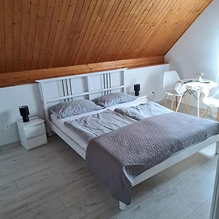 Apartament U Zieby Duszniki Zdroj Exterior photo